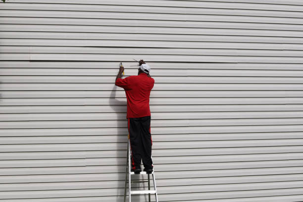 Best Siding Removal and Disposal  in Grand Rapids, MI